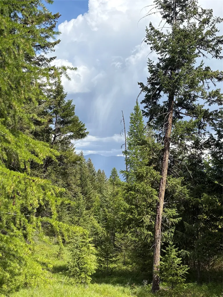 Lot 2 Meadow Springs Fortine MT 59918