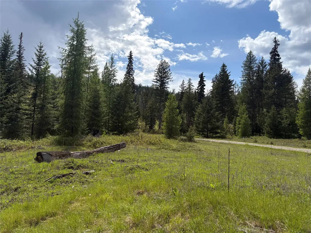 Lot 2 Meadow Springs Fortine MT 59918