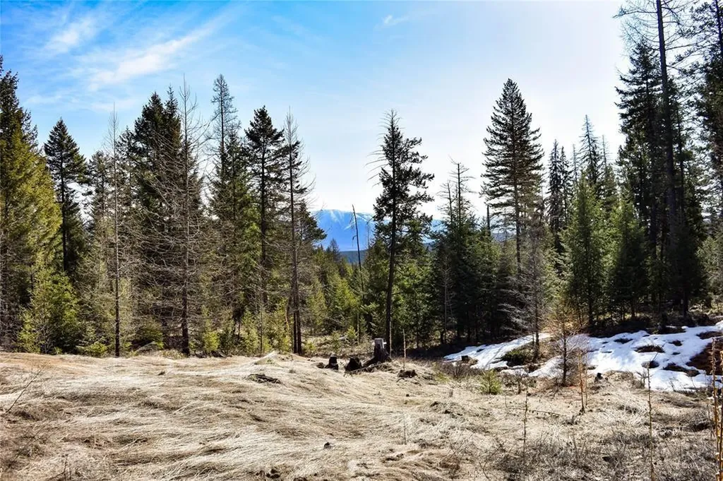 Lot 2 Meadow Springs Fortine MT 59918