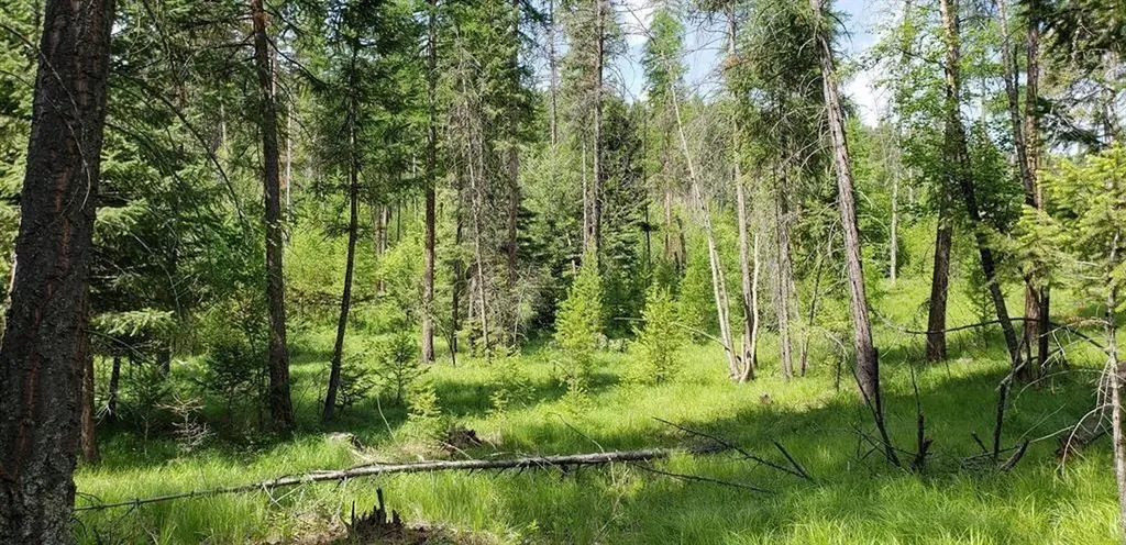Lot 2 Meadow Springs Fortine MT 59918