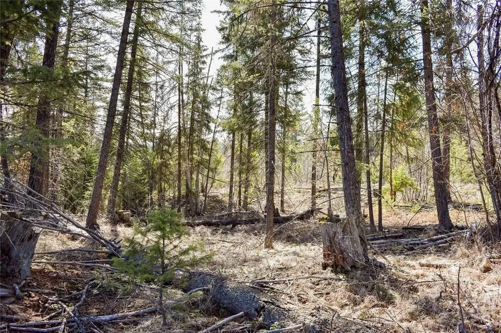 Lot 2 Meadow Springs Fortine MT 59918