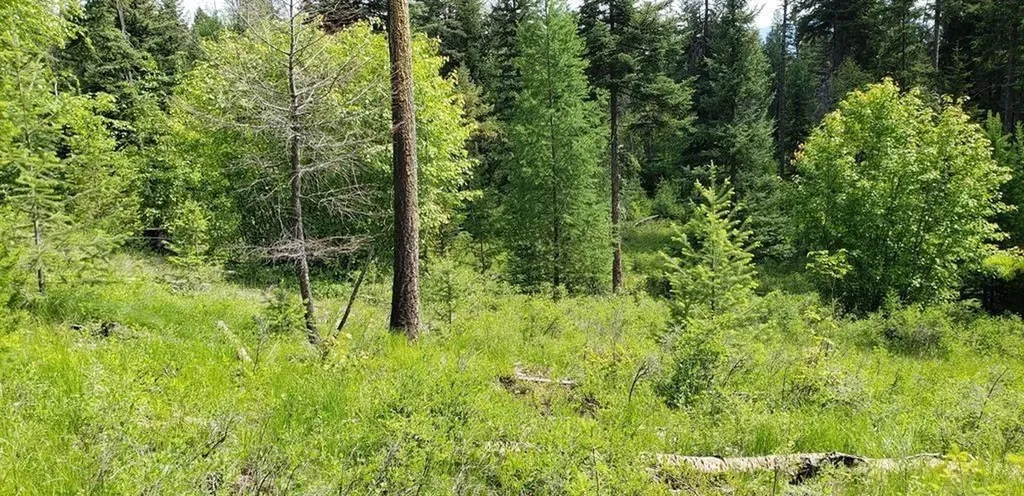 Lot 2 Meadow Springs Fortine MT 59918