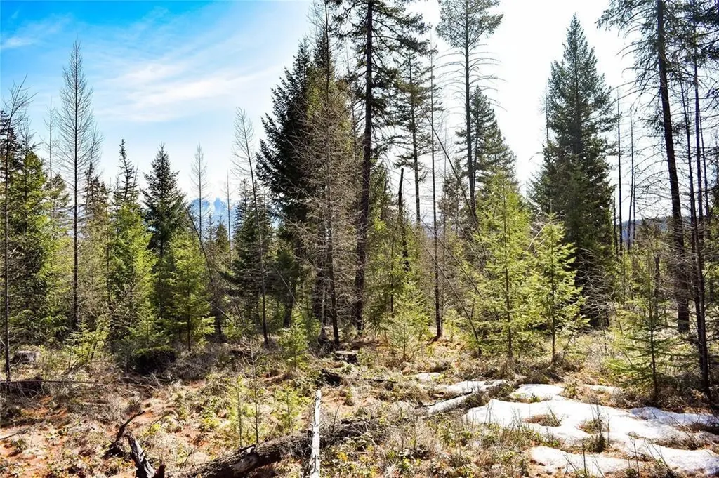 Lot 2 Meadow Springs Fortine MT 59918
