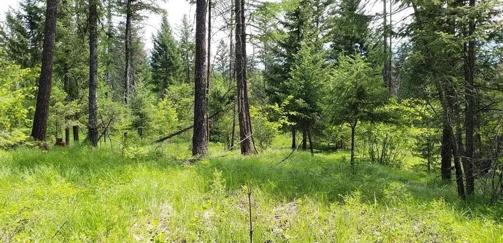 Lot 2 Meadow Springs Fortine MT 59918