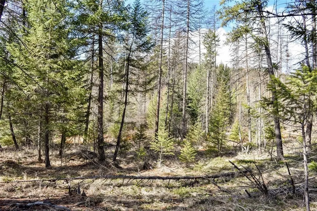 Lot 2 Meadow Springs Fortine MT 59918