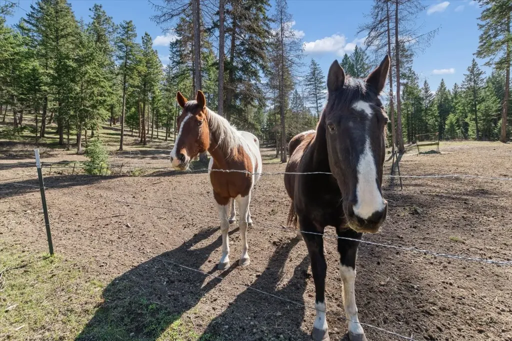 783 White Basin Road Kalispell MT 59901