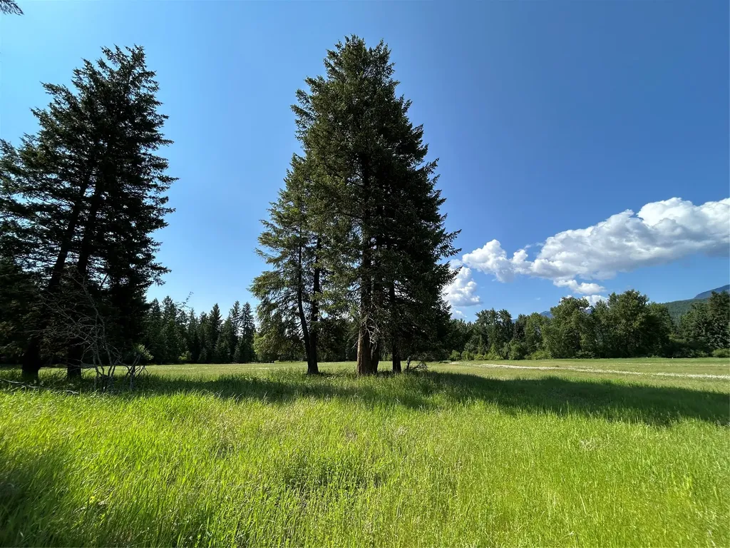 730 Kootenai Views Drive Libby MT 59923