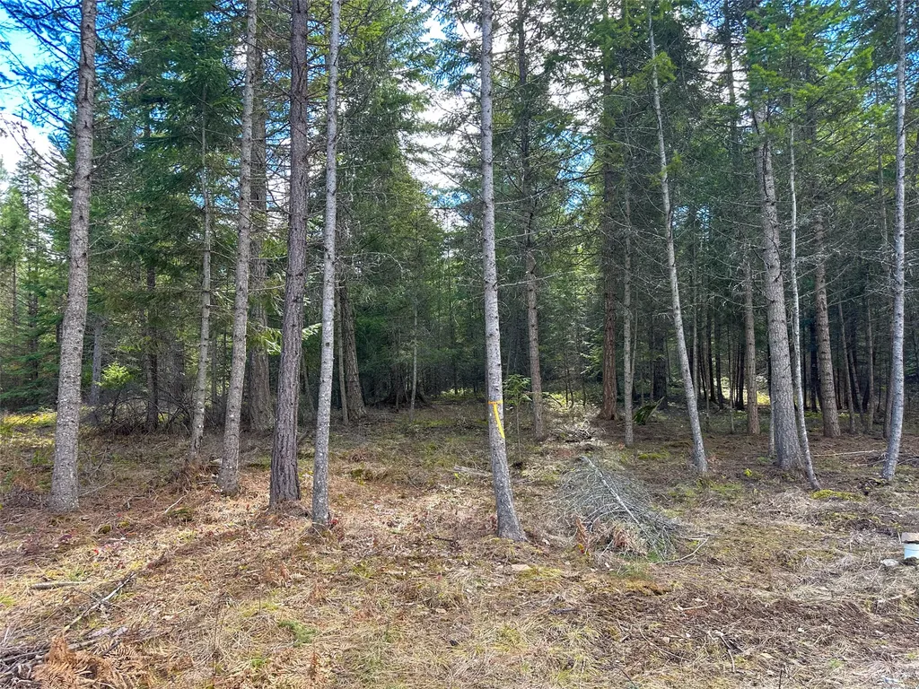 8 Mcarthur Way Trout Creek MT 59874