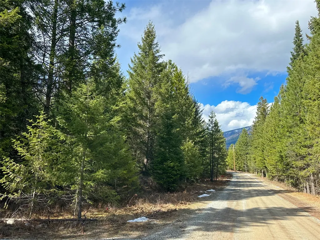 8 Mcarthur Way Trout Creek MT 59874