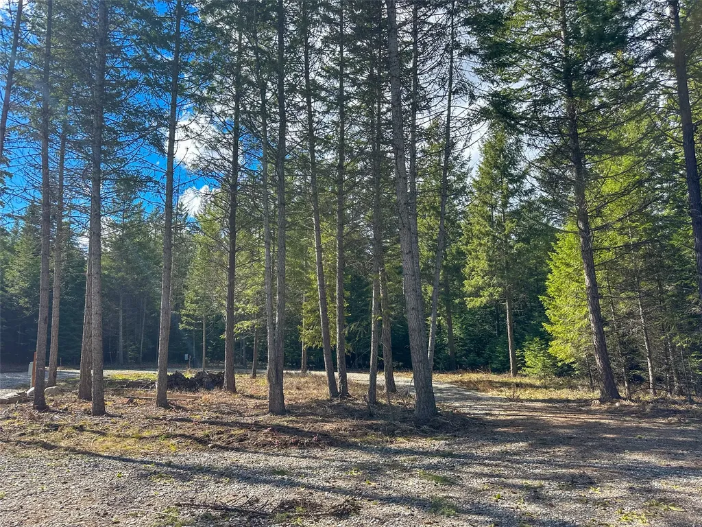 8 Mcarthur Way Trout Creek MT 59874