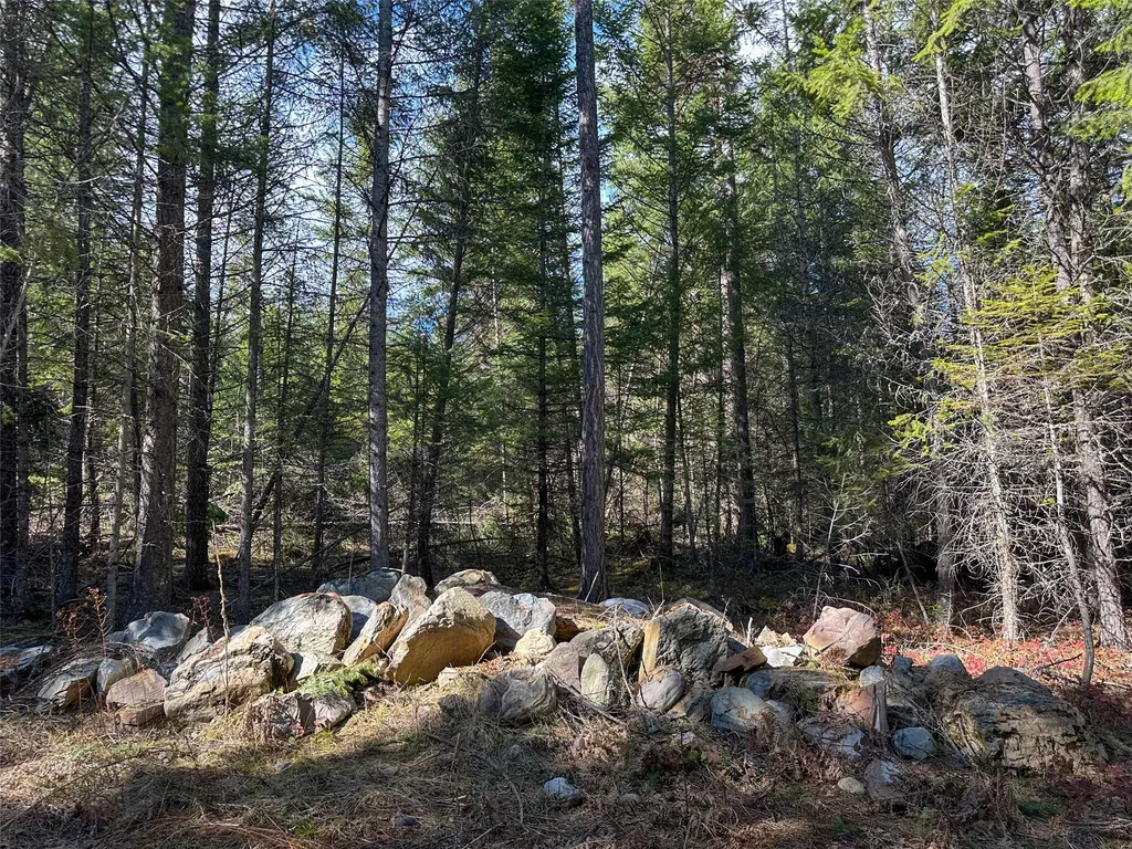 8 Mcarthur Way Trout Creek MT 59874