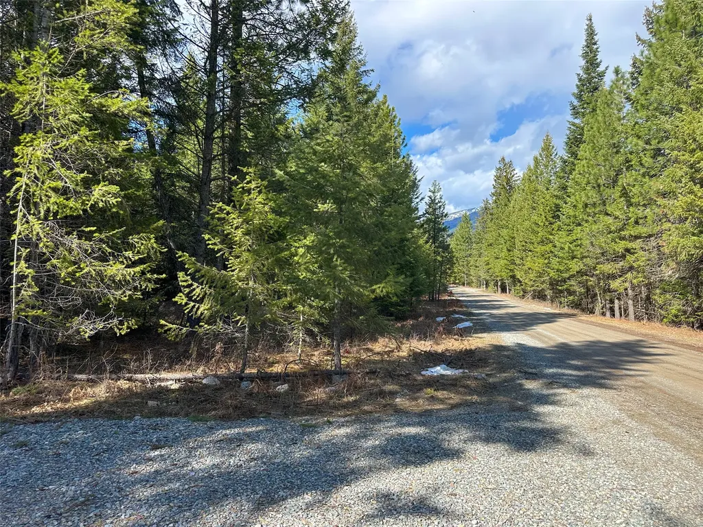 8 Mcarthur Way Trout Creek MT 59874