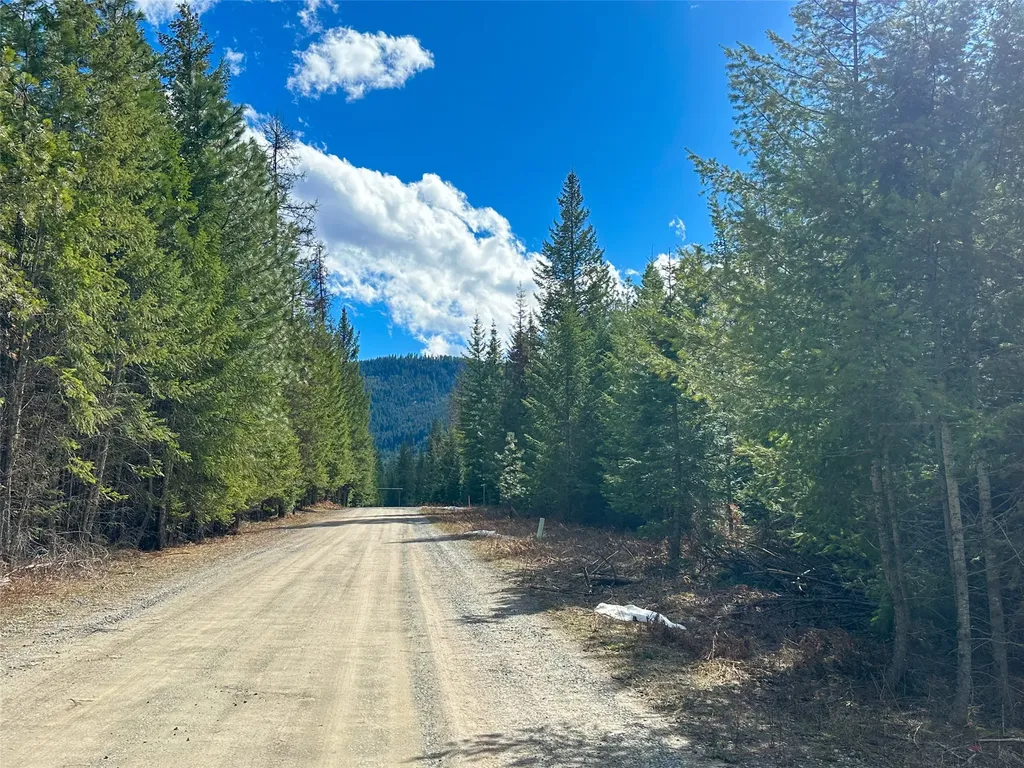 8 Mcarthur Way Trout Creek MT 59874