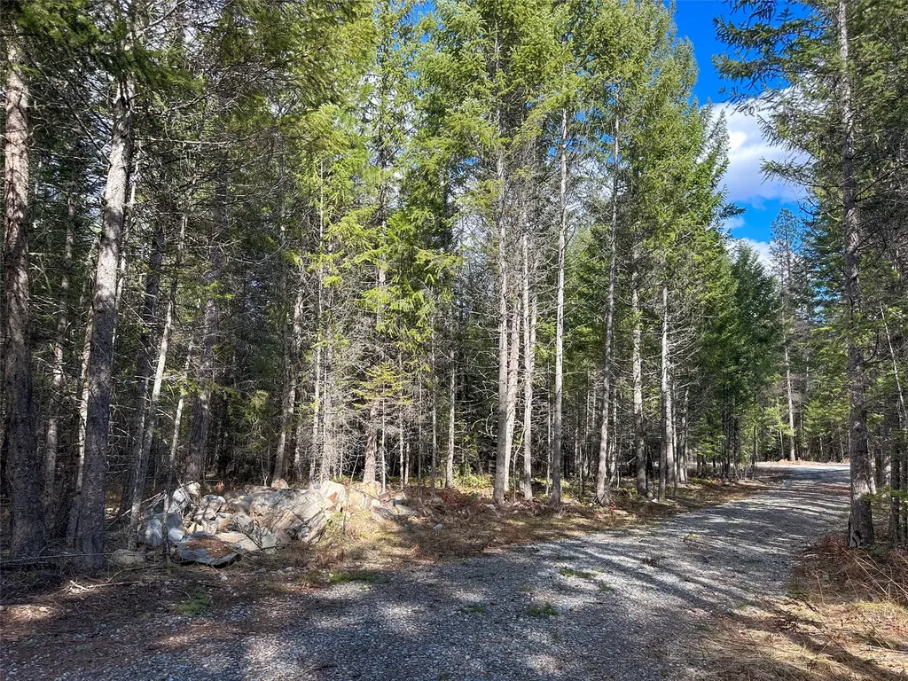 8 Mcarthur Way Trout Creek MT 59874