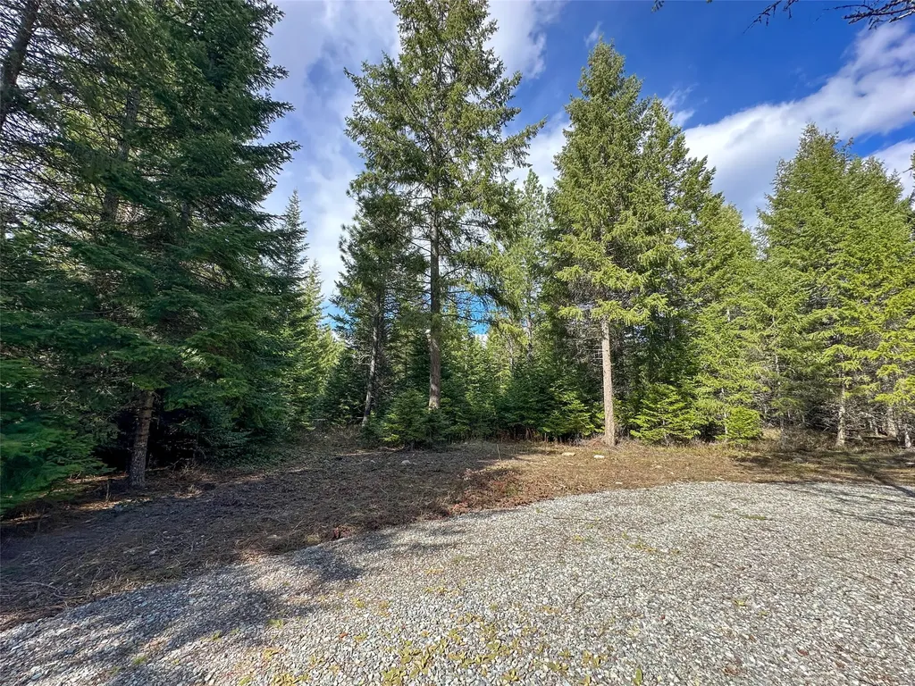 8 Mcarthur Way Trout Creek MT 59874