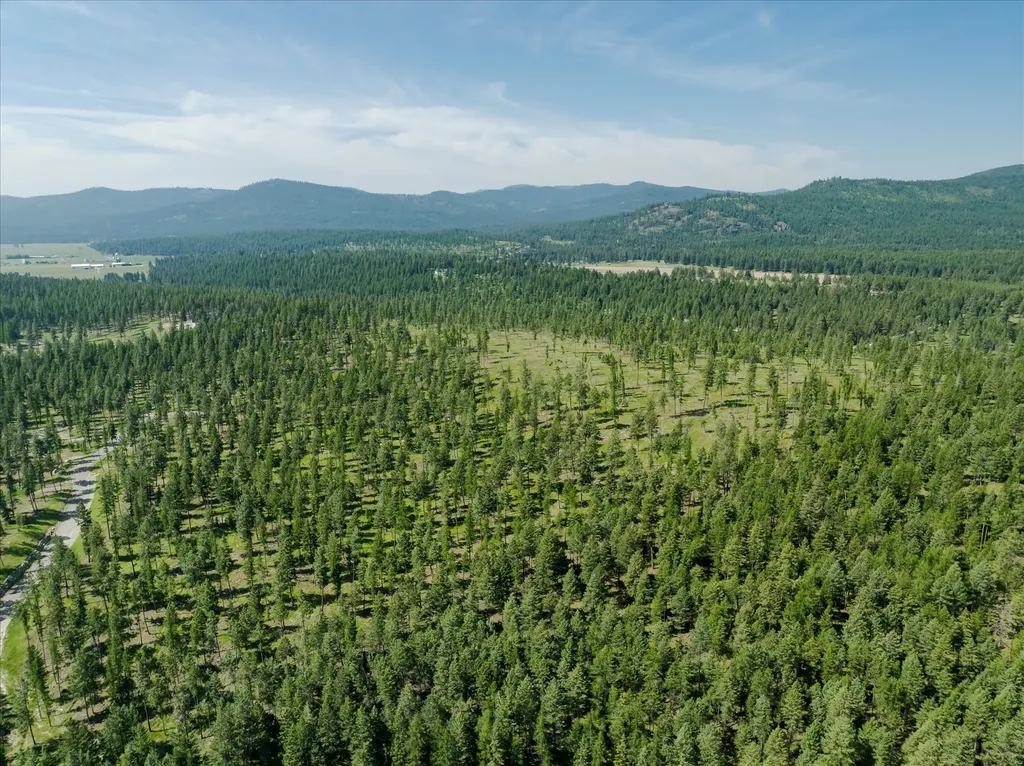 534 Northern Larch Trail Kalispell MT 59901