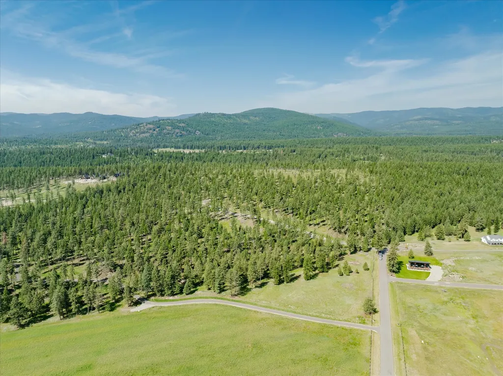534 Northern Larch Trail Kalispell MT 59901