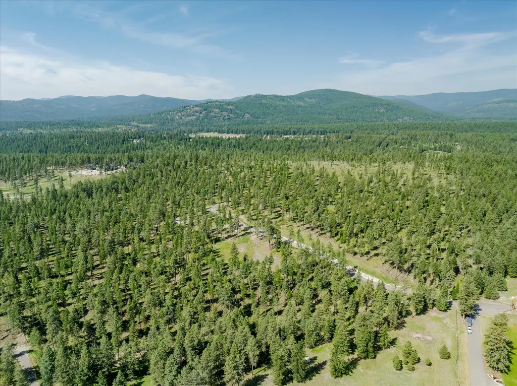 534 Northern Larch Trail Kalispell MT 59901
