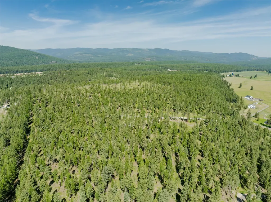 534 Northern Larch Trail Kalispell MT 59901