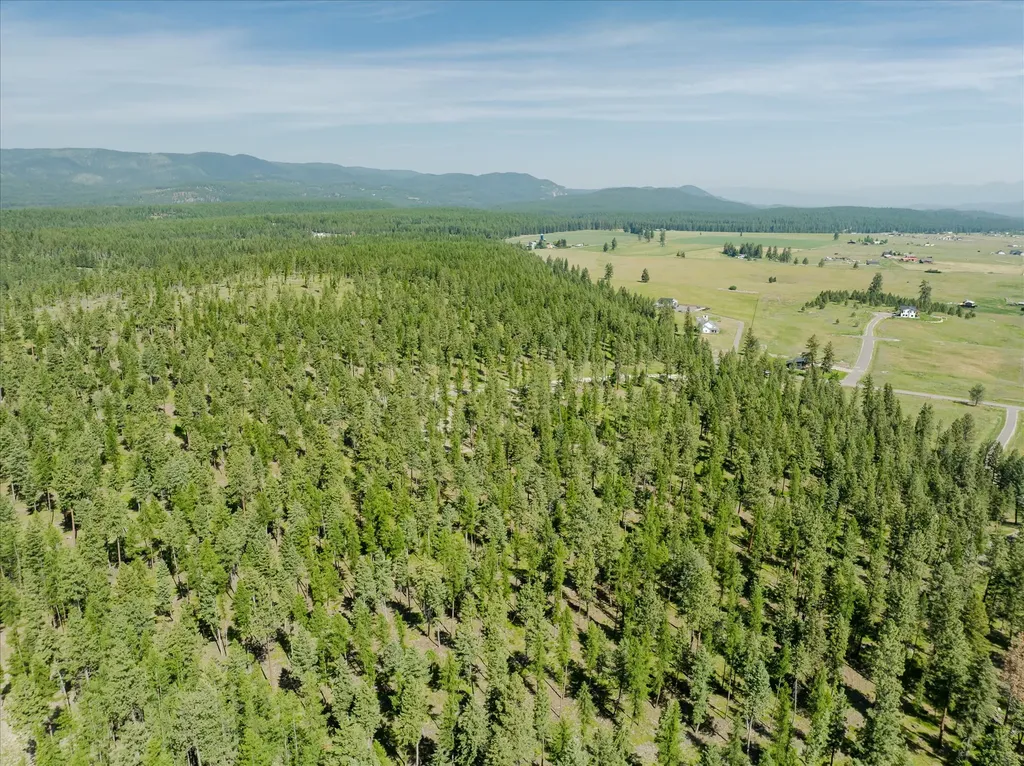 534 Northern Larch Trail Kalispell MT 59901