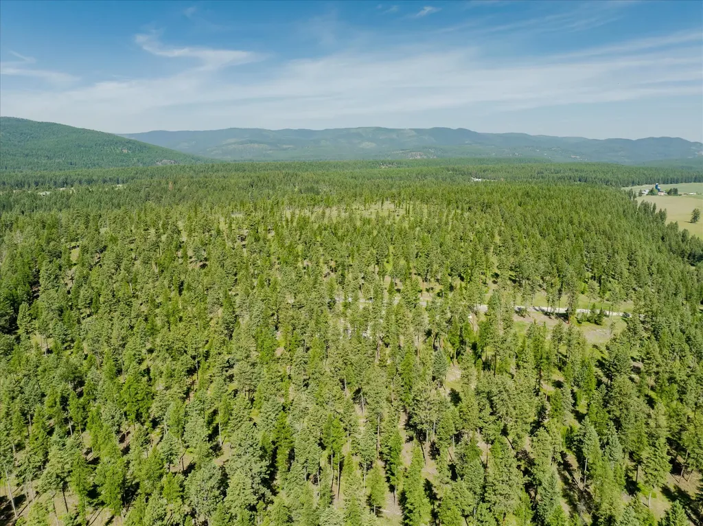534 Northern Larch Trail Kalispell MT 59901