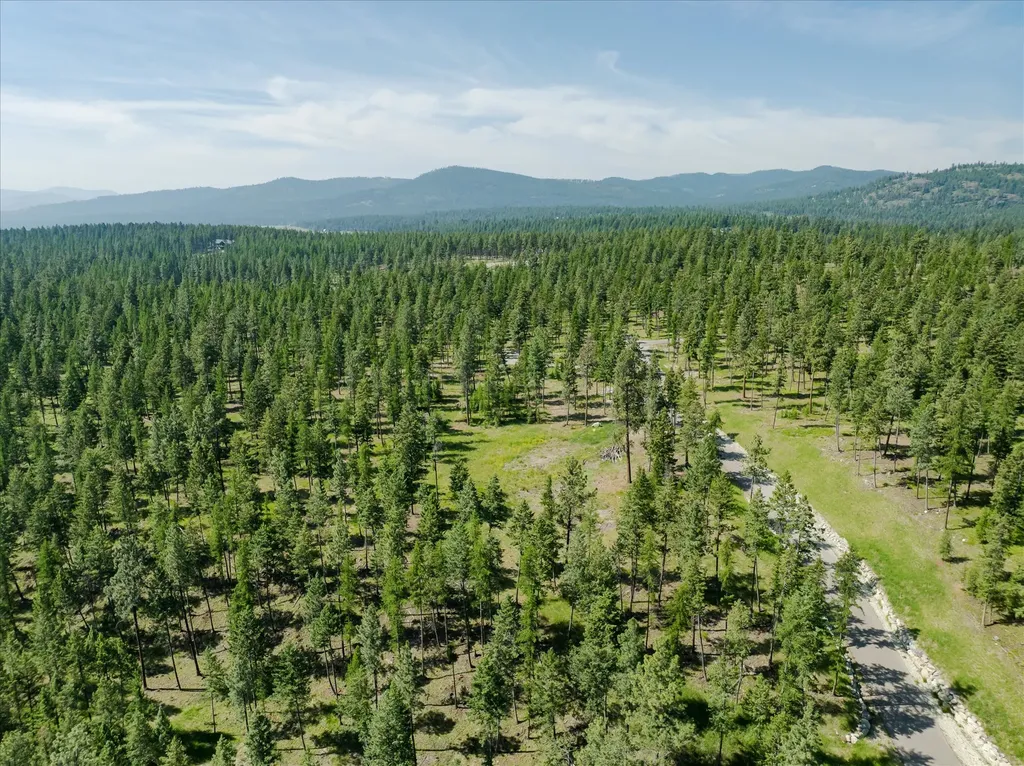 534 Northern Larch Trail Kalispell MT 59901