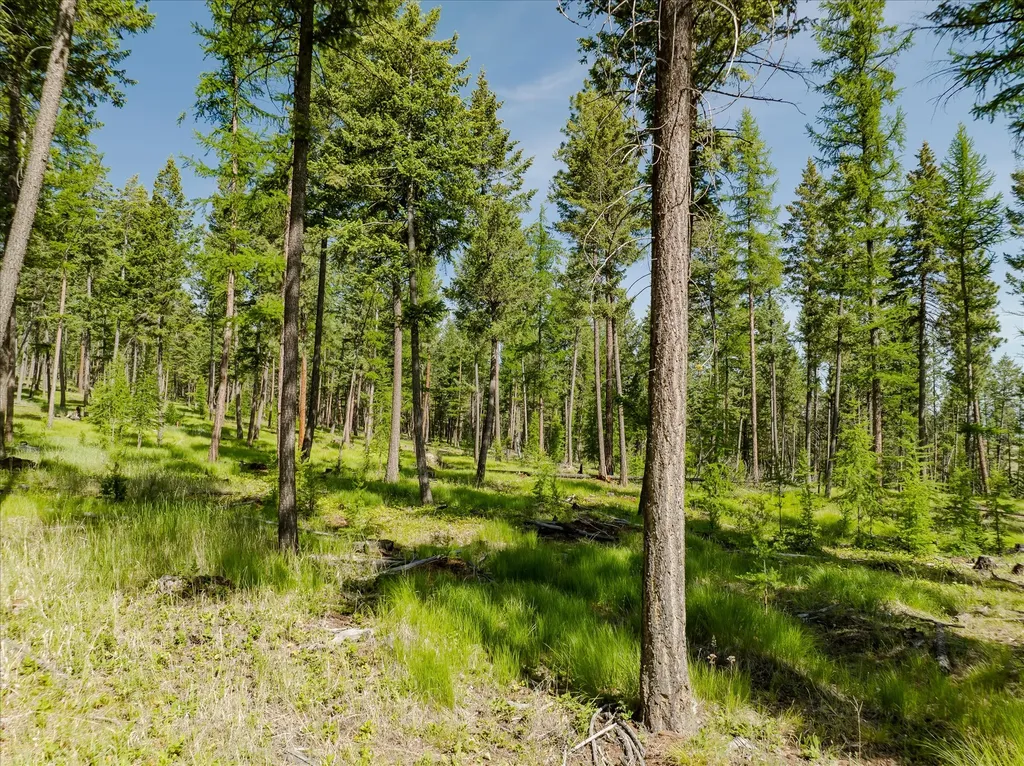534 Northern Larch Trail Kalispell MT 59901