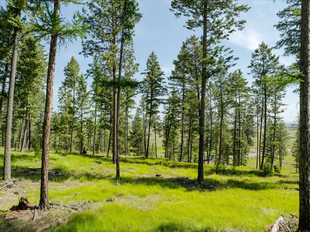 534 Northern Larch Trail Kalispell MT 59901