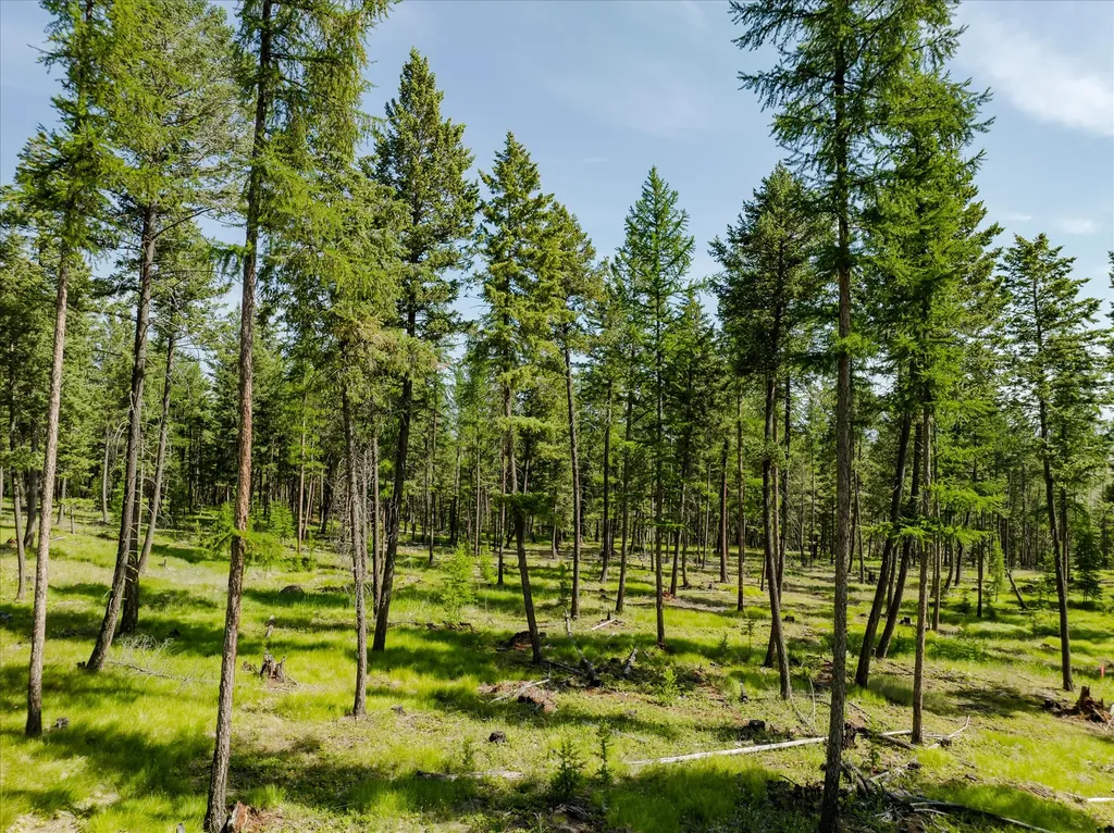 534 Northern Larch Trail Kalispell MT 59901