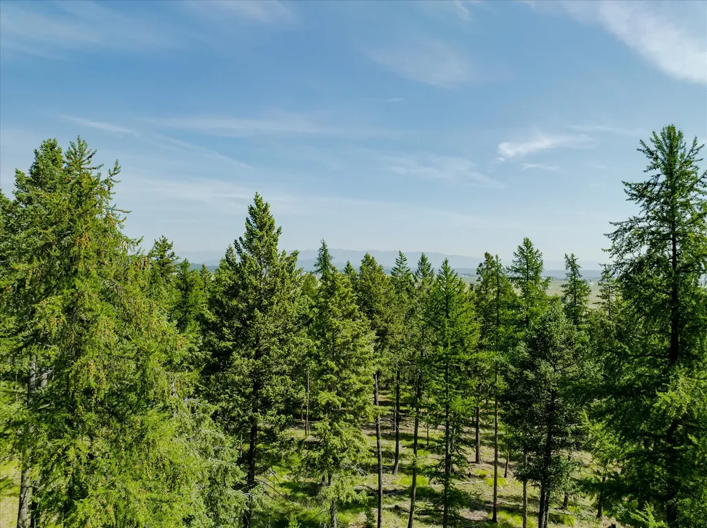 534 Northern Larch Trail Kalispell MT 59901