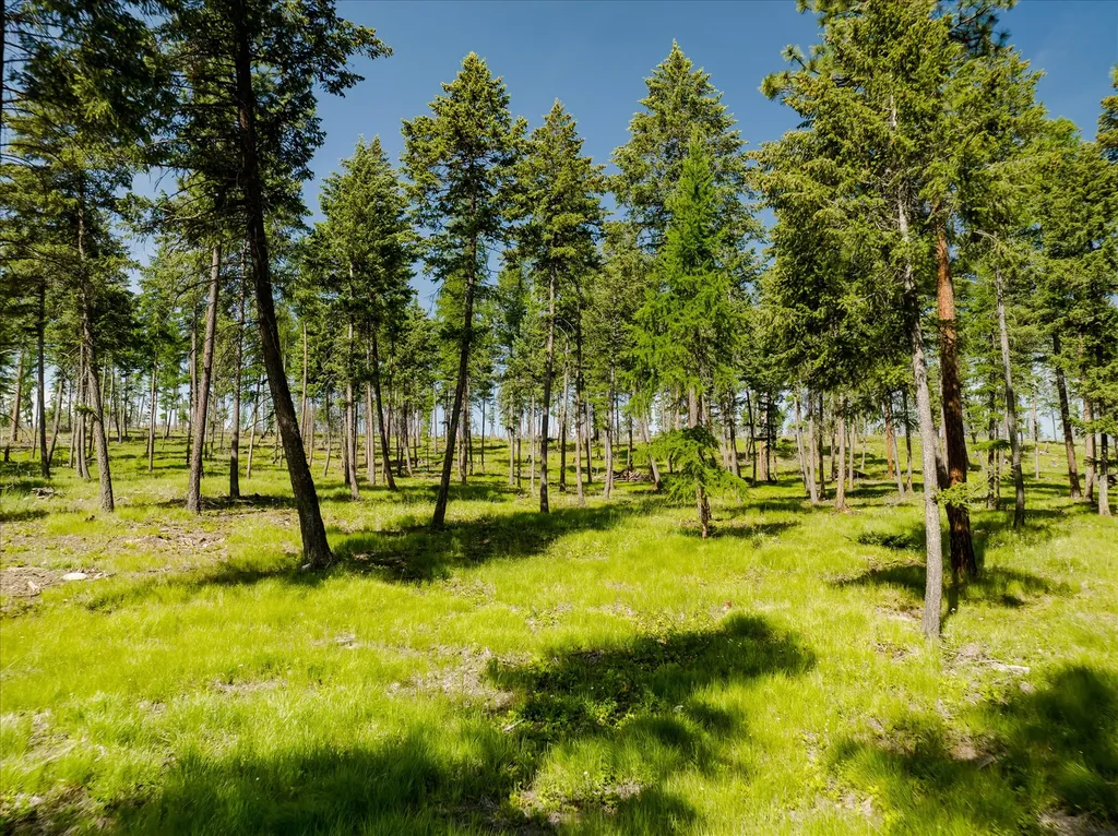 534 Northern Larch Trail Kalispell MT 59901