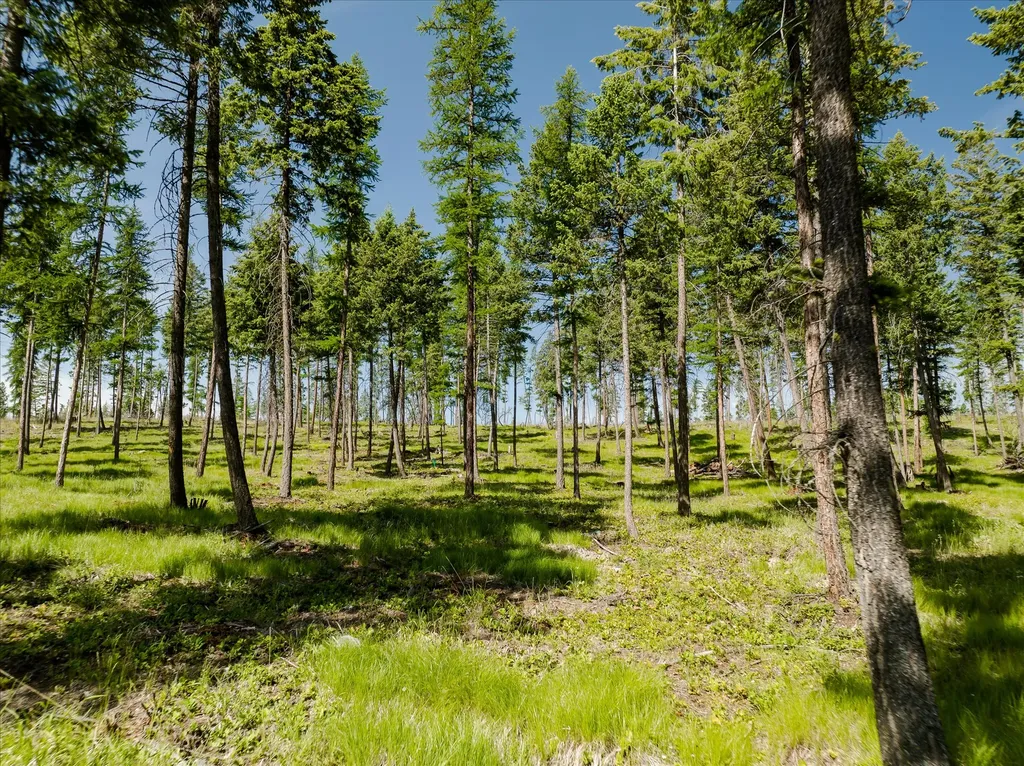 534 Northern Larch Trail Kalispell MT 59901
