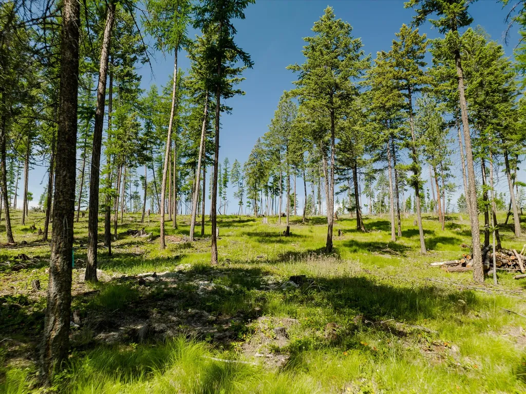 534 Northern Larch Trail Kalispell MT 59901