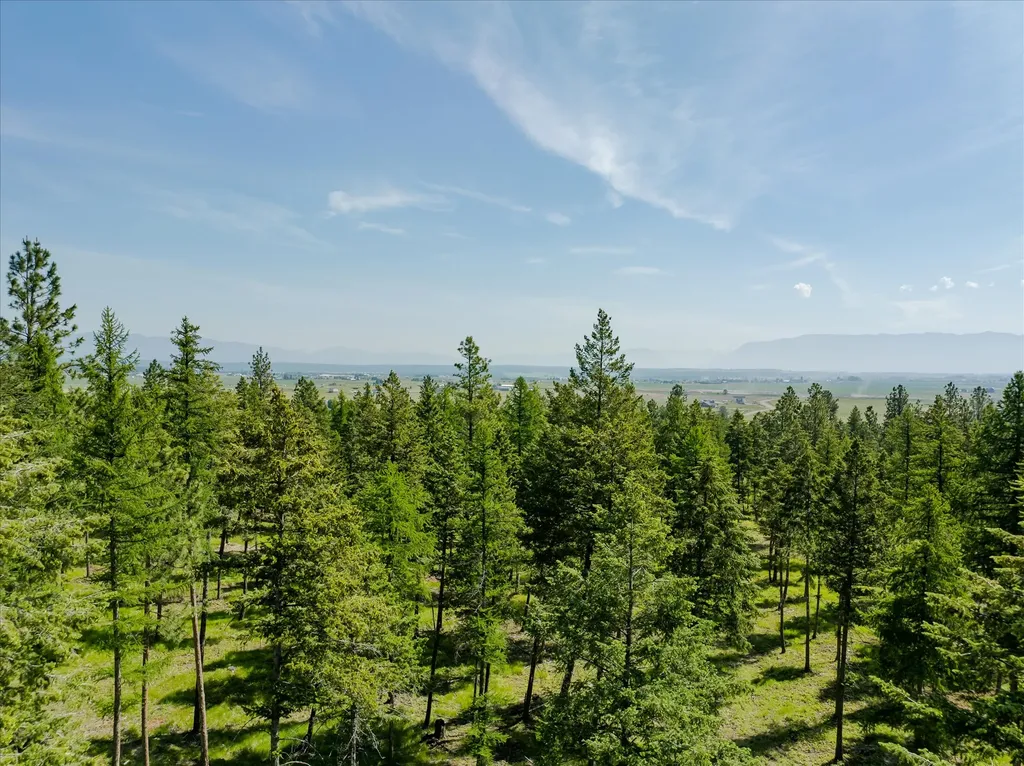 534 Northern Larch Trail Kalispell MT 59901