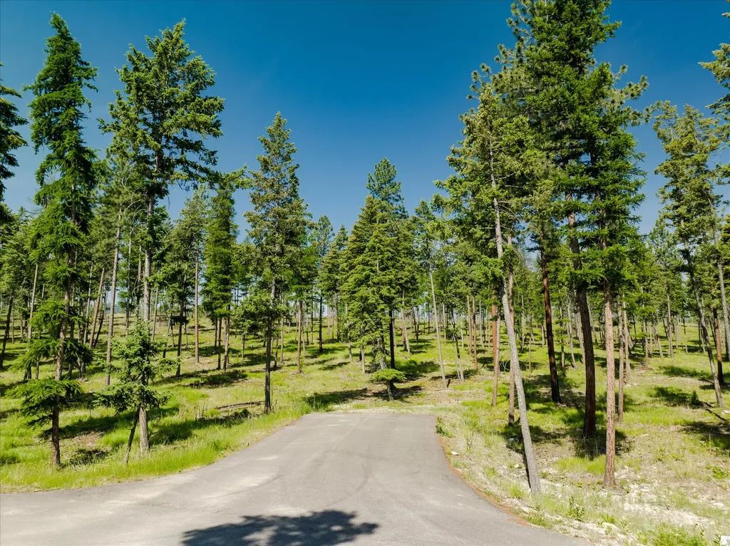 534 Northern Larch Trail Kalispell MT 59901