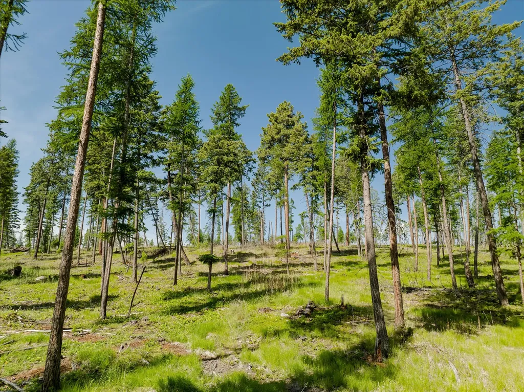 534 Northern Larch Trail Kalispell MT 59901