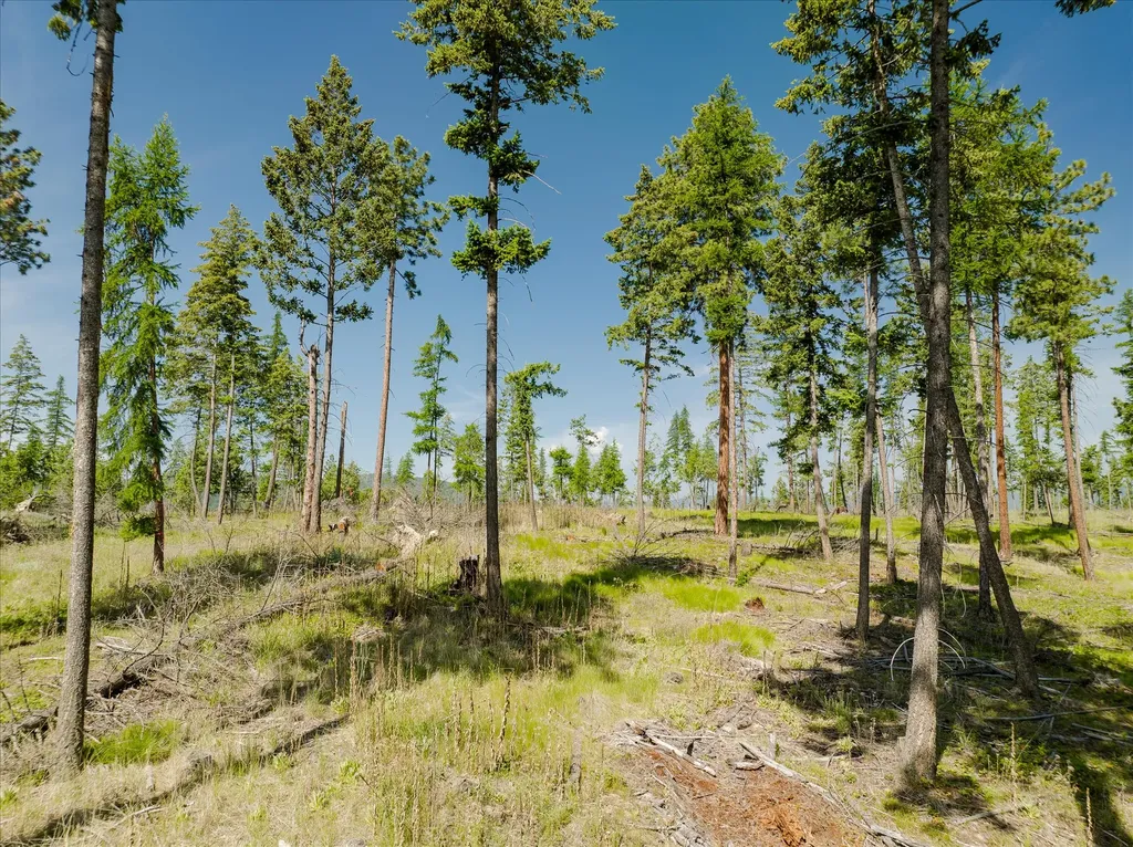 534 Northern Larch Trail Kalispell MT 59901