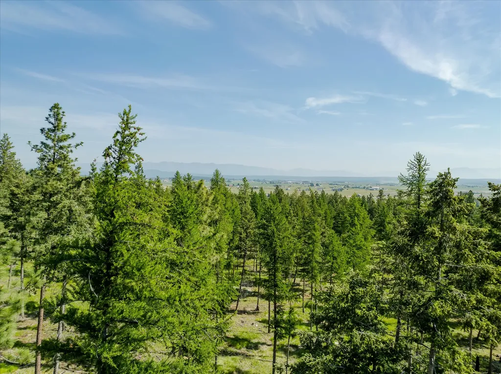 534 Northern Larch Trail Kalispell MT 59901