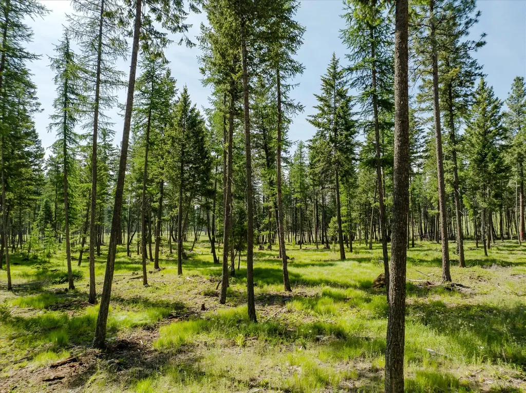 534 Northern Larch Trail Kalispell MT 59901