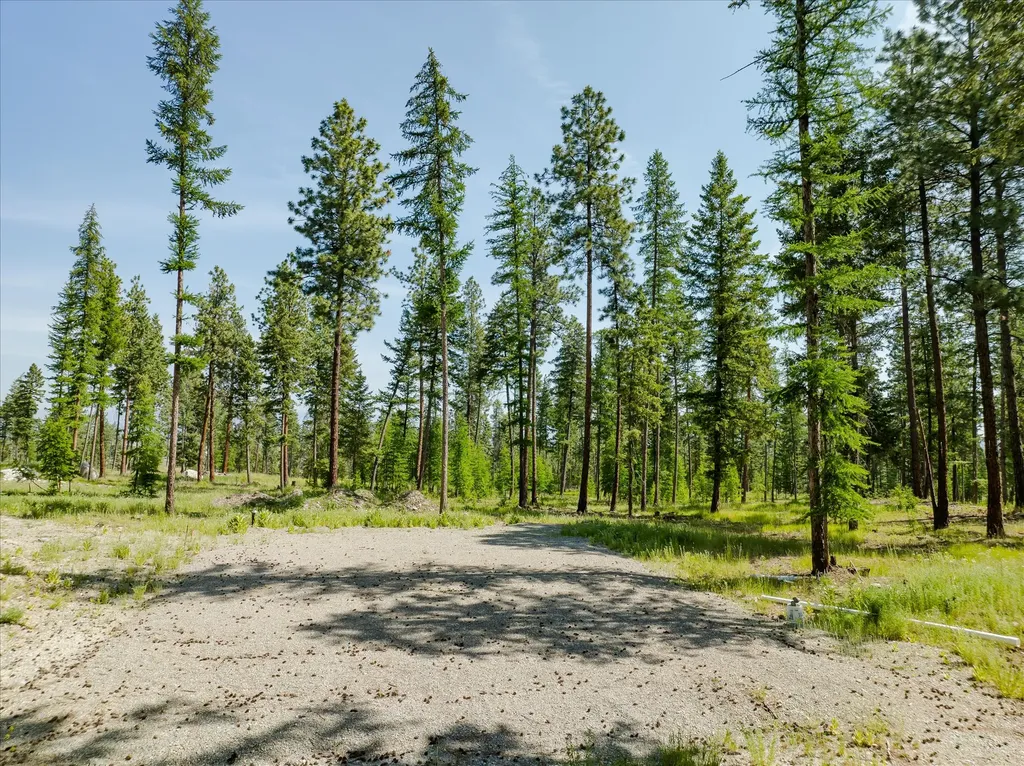 534 Northern Larch Trail Kalispell MT 59901