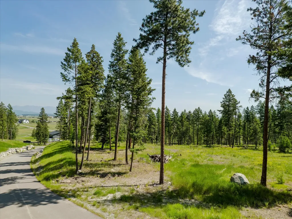 534 Northern Larch Trail Kalispell MT 59901