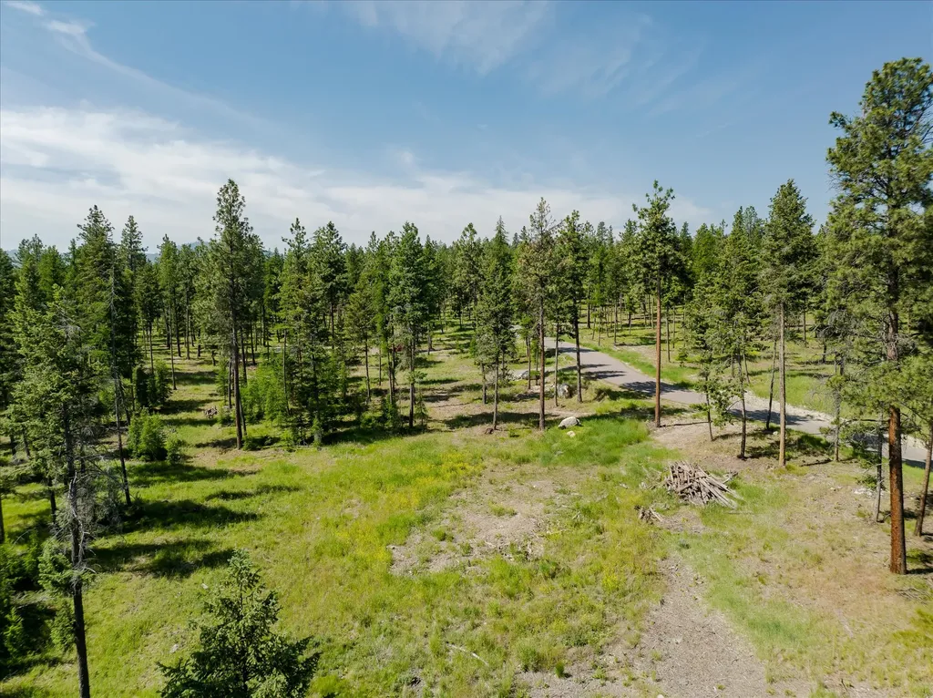 534 Northern Larch Trail Kalispell MT 59901