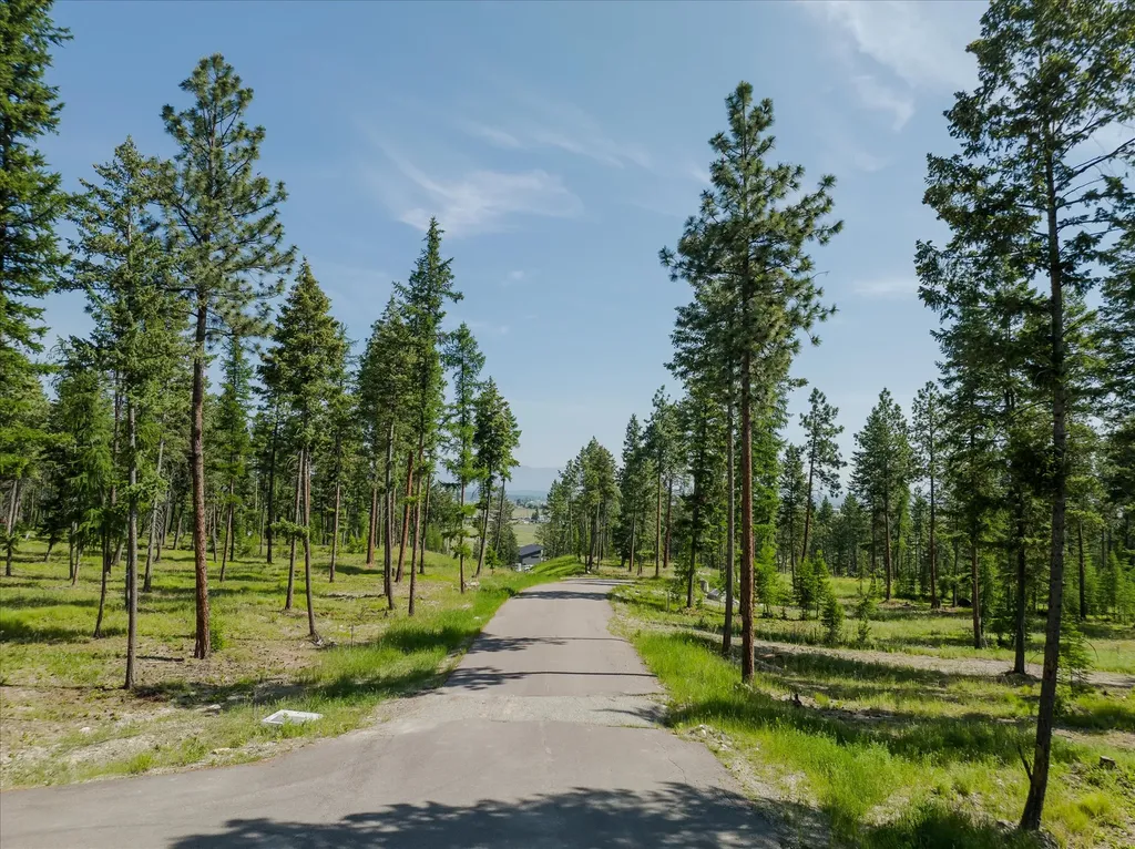 534 Northern Larch Trail Kalispell MT 59901