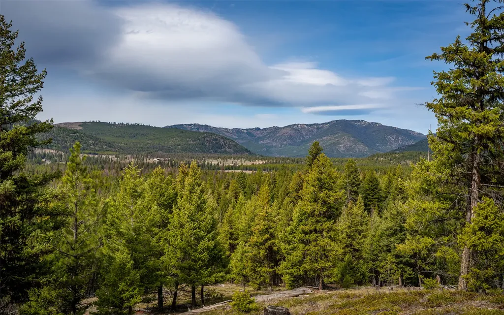 4689 Mcginnis Meadows Road Libby MT 59923