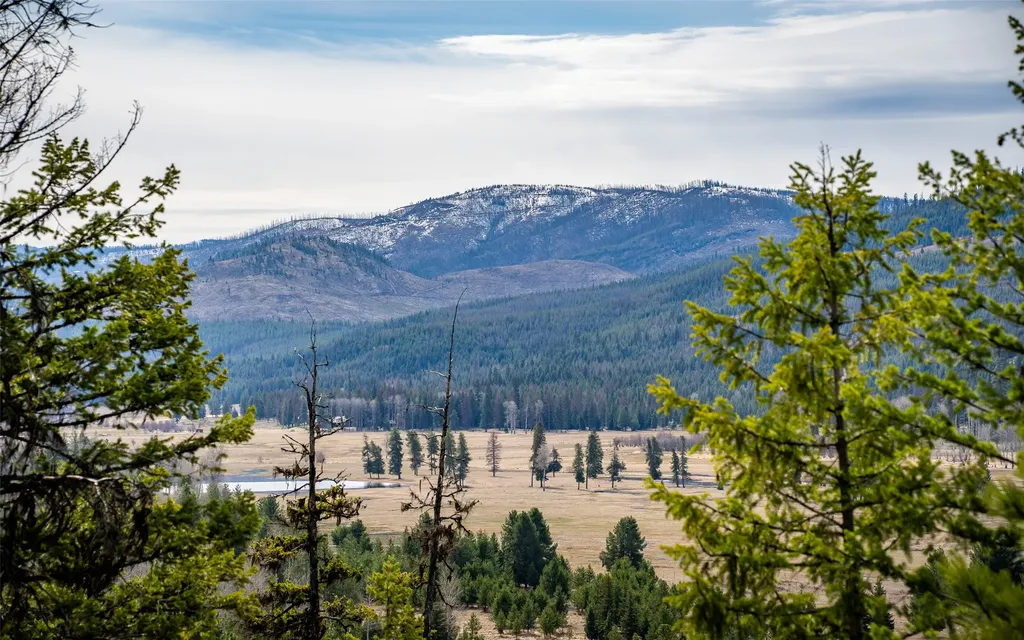 4689 Mcginnis Meadows Road Libby MT 59923