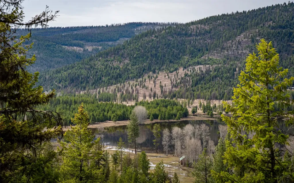 4689 Mcginnis Meadows Road Libby MT 59923