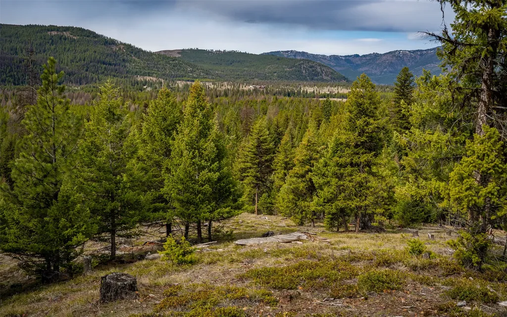4689 Mcginnis Meadows Road Libby MT 59923