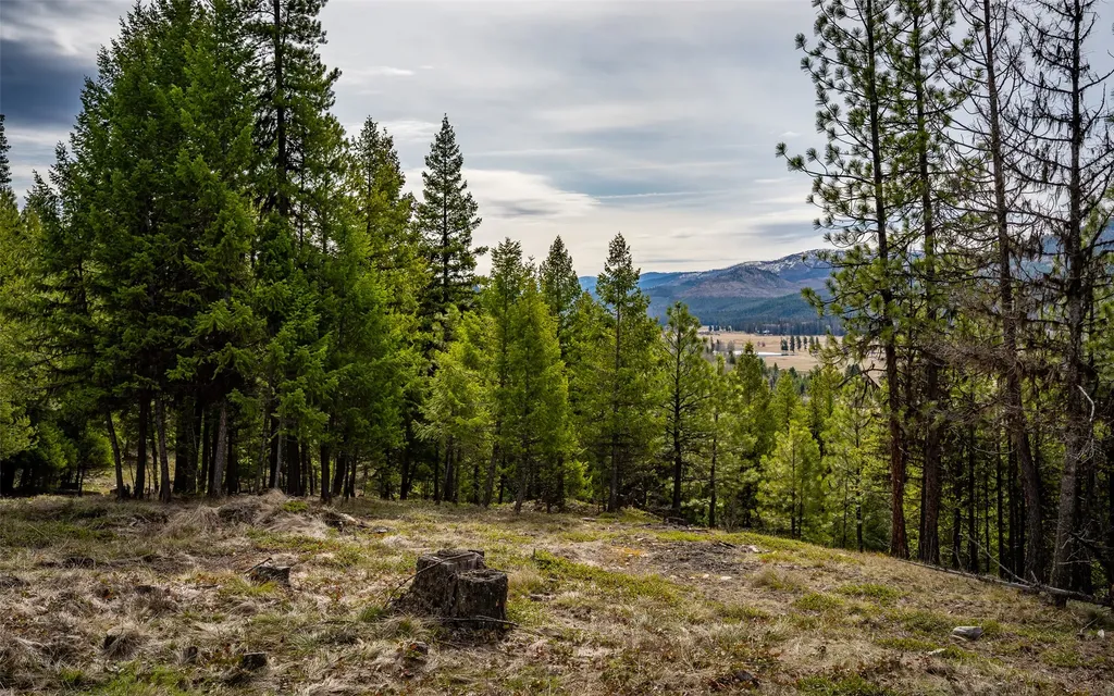 4689 Mcginnis Meadows Road Libby MT 59923