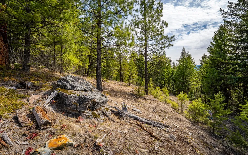 4689 Mcginnis Meadows Road Libby MT 59923