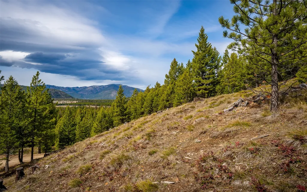 4689 Mcginnis Meadows Road Libby MT 59923